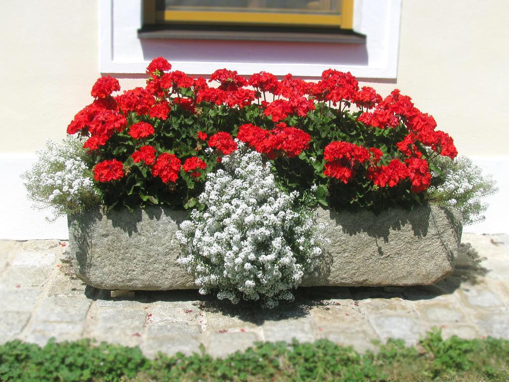 Fruehstueckspension Herzog Zu Laah Ansfelden Exterior photo